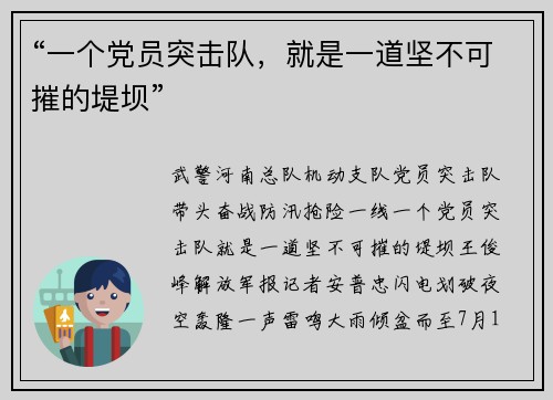 “一个党员突击队，就是一道坚不可摧的堤坝”