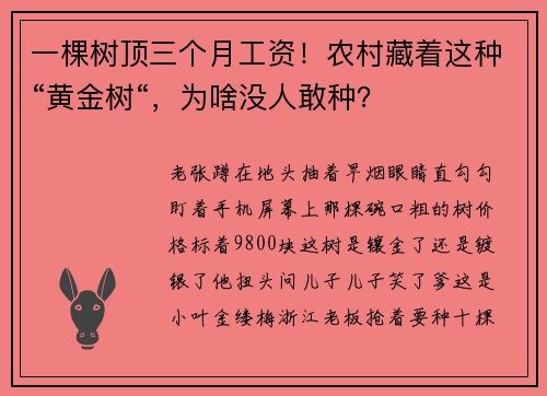 一棵树顶三个月工资！农村藏着这种“黄金树“，为啥没人敢种？