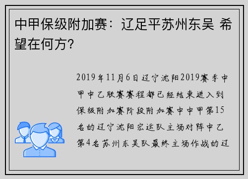 中甲保级附加赛：辽足平苏州东吴 希望在何方？