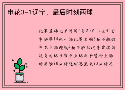 申花3-1辽宁，最后时刻两球