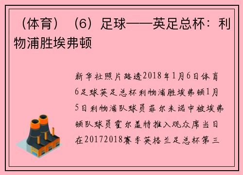 （体育）（6）足球——英足总杯：利物浦胜埃弗顿